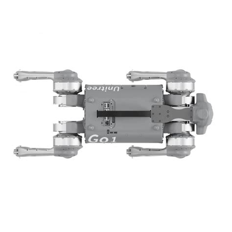 UniTree Go1 Pro Rwview 的图像结果