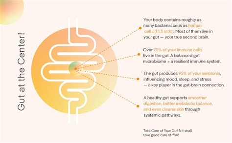 The Good Bug New & Improved Overall Digestive Health Gut Balance ...