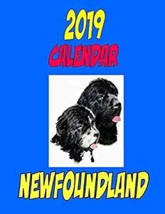 2019 Calendar Newfoundland: Dog weekly calendar, personal contacts list ...
