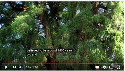 科学网—百年树木，十年树人 - 李世春的博文