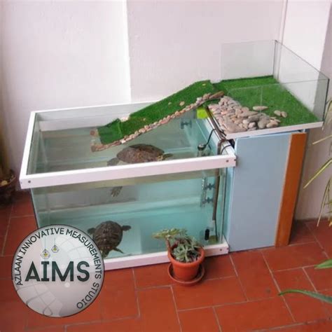 Image result for Turtle Fish Tank