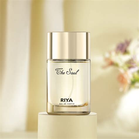 Buy The Soul Unisex Perfume 100 ml Online – House Of Riya
