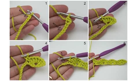 Shell Stitch 的图像结果