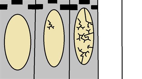 Nature Undefined Edge 的图像结果