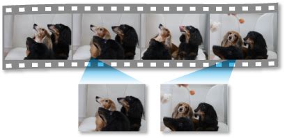 Image result for My Image Garden Tutorial