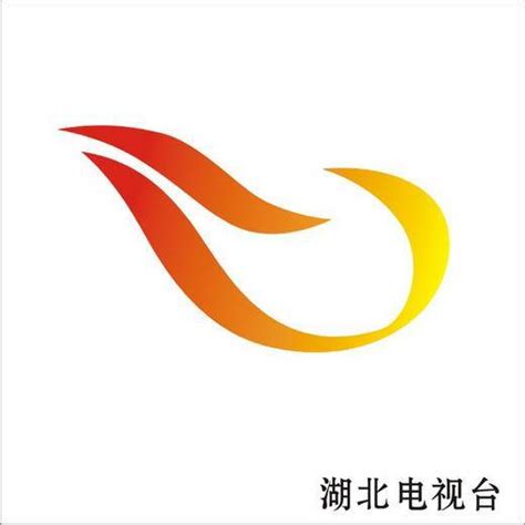武汉电视台1套采访齐峰周章瑛女士-武汉齐峰世家物业管理有限公司