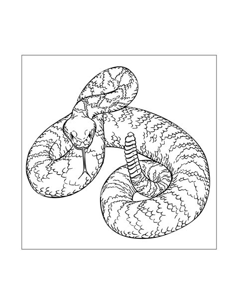 Snake Coloring Pages - Printable Coloring Pages. FREE