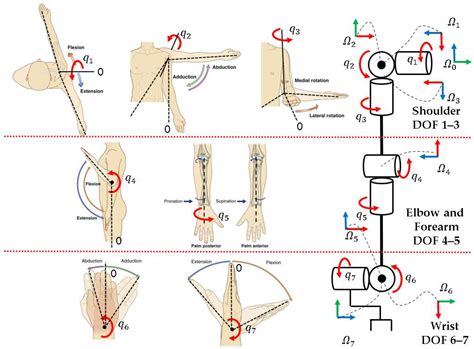 A Wearable Upper Limb Exoskeleton for Intuitive Teleoperation of ...