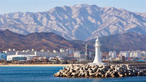 Welcome to Sokcho-si: A Blend of Nature, Culture, and Culinary ...