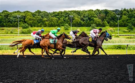 Emerald Downs Live Racing Tickets, Horse Races & 2025 Schedule