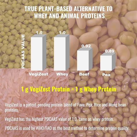 Buy Plant Based Protein Shake Strawberry Banana - Lactose & Dairy Free ...