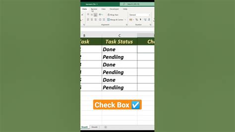 Check Box Tutorial 的图像结果