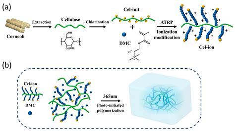 Self-Adhesive and Reprocessable Ionogel Sensor from Controllable ...
