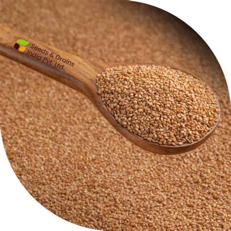 Oilseeds / Bakery Ingredients