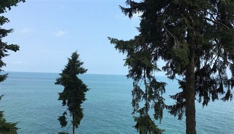 SURMENE CAMBURNU TABIAT PARKI (2026) All You Need to Know BEFORE You Go ...