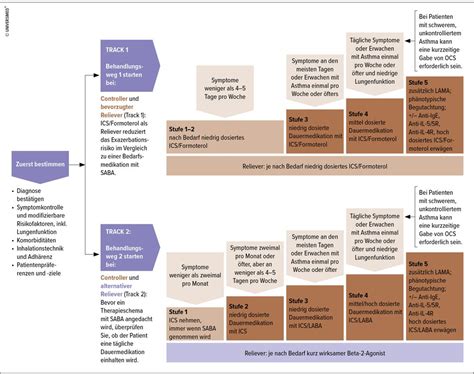 Asthma: State of the Art - Pneumologie - Universimed - Medizin im Fokus