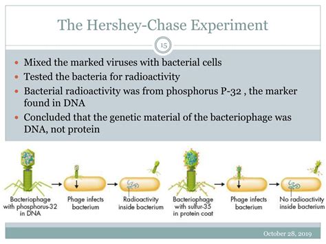 PPT - Chapter 12 PowerPoint Presentation, free download - ID:549707