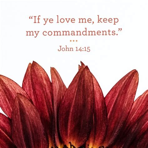 Image result for LDS Scriptures