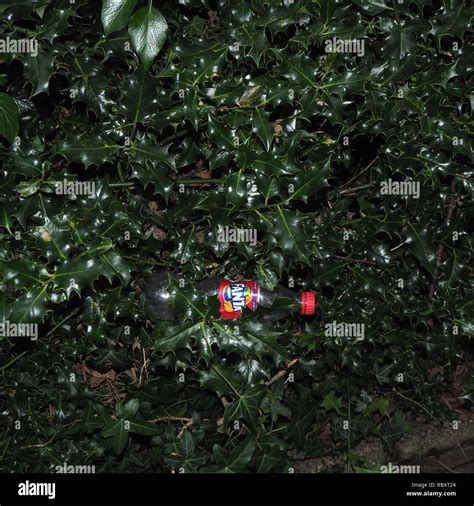 Throw away camera hi-res stock photography and images - Alamy