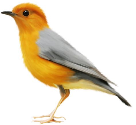 blog | TELP OFFICIAL WEBSITE