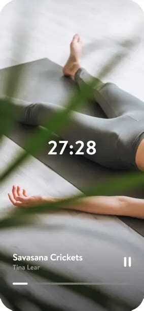 Image result for Insight Timer Meditation