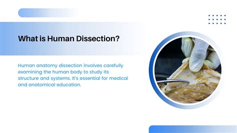 Image result for Human Dissection Tutorial