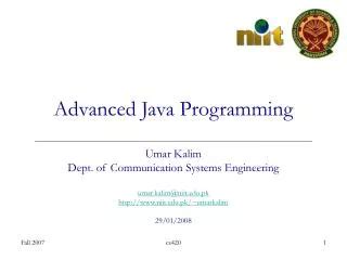Advanced Java Program 的图像结果