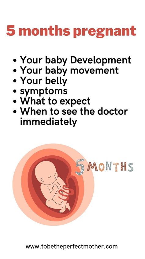 Symptoms Of Five Months Pregnancy