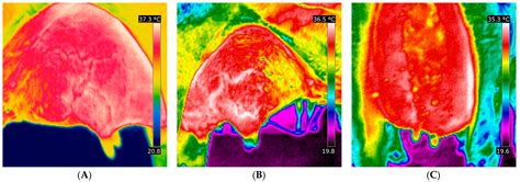 A New Way to Identify Mastitis in Cows Using Artificial Intelligence