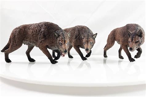 Image result for Extinct Bricks Dinos