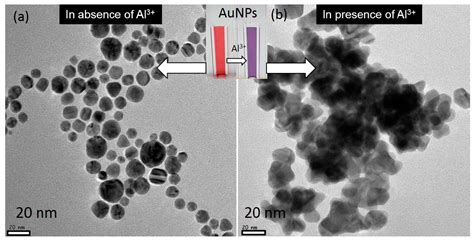 A Spectral Probe for Detection of Aluminum (III) Ions Using Surface ...