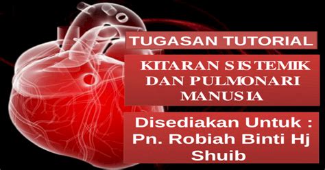 Sistem Kitaran Pulmonari Dan Sistemik