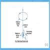Q4. The direction of electric current passed through a vertical wire ...