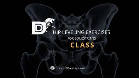 Image result for Hip Leveling Guide