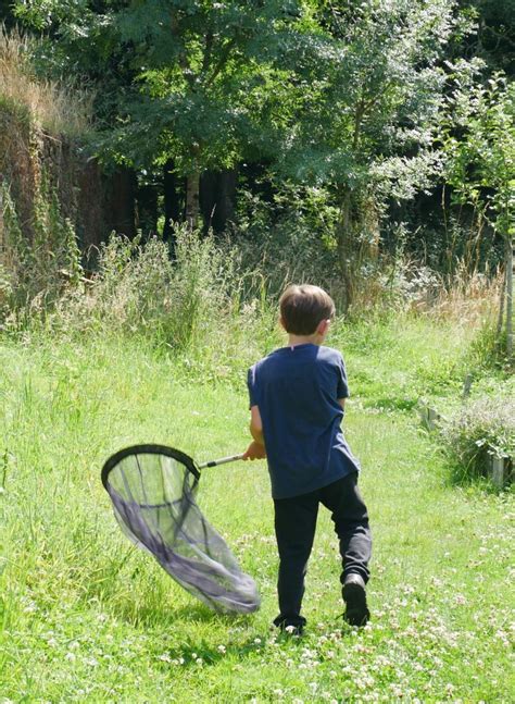 Prinquiau. Attraper des insectes pour mieux les connaître - Saint ...