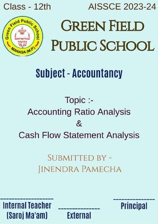 Accountancy Project Class 12 Ratio Analysis 的图像结果