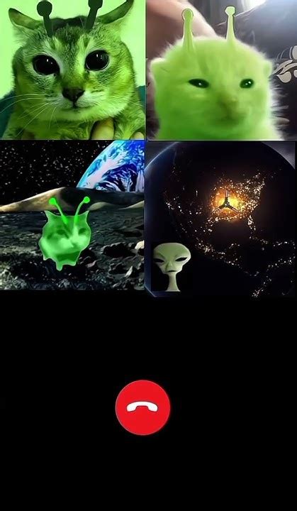 Image result for Alien Cat ZIB Zap