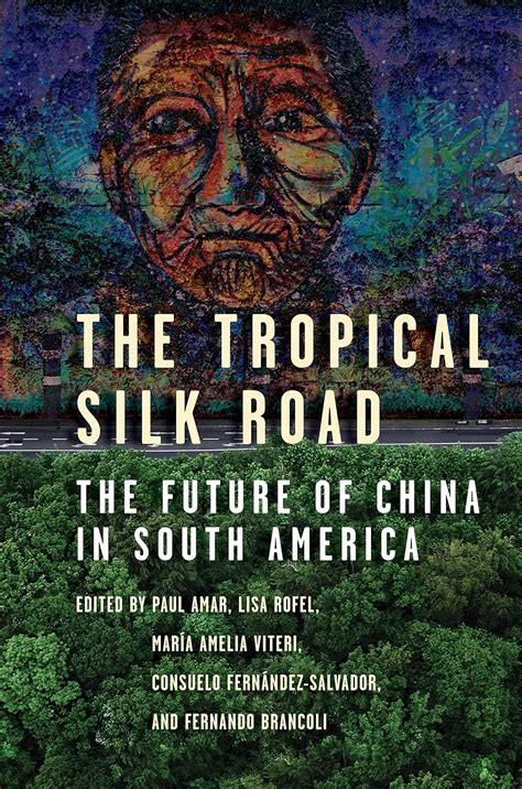The Tropical Silk Road: The Future of China in South America : Amar ...
