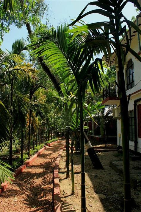 BAUL MONN (Santiniketan, West Bengal) - Guesthouse Reviews & Photos ...