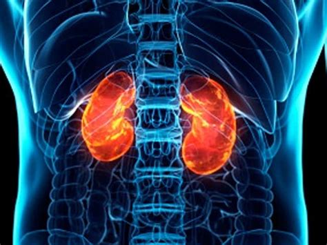 Fighting blood clots - Post-mortem findings of Covid-19 patients reveal ...