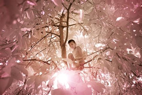 Sanne De Wilde: Verblüffende und zauberhafte Visualisierung der ...