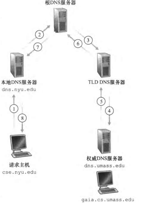 DNS 的图像结果