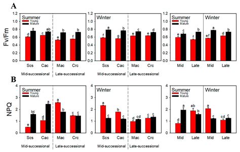 Photoprotection Differences between Dominant Tree Species at Mid- and ...
