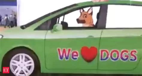 orissa kennel club: Bhubaneswar: A 3-day-long national level 'Dog Show ...