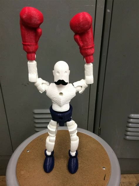 Boxer Bot Robot 的图像结果