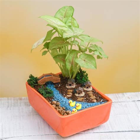Buy DIY Riverside village - Miniature Garden online from Nurserylive at ...