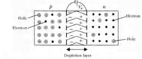 In a PN junction :- - Tardigrade