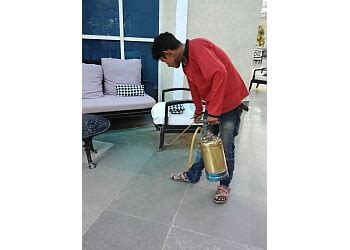 3 Best Pest Control Services in Bengaluru - Expert Recommendations