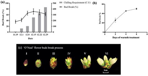 Comparative Transcriptomic Analysis Provides Insight into the Key ...