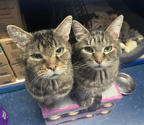 Bosley’s Tsawwassen, 1215 56th Street Unit B, Tsawwassen, BC, Canada ...